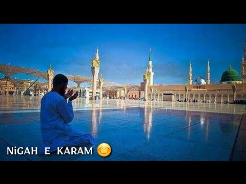 Tajdar e Haram || New Whstaspp Status