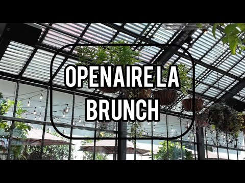 Did someone say brunch in a Greenhouse? How dreamy 💕 #Openaire LA