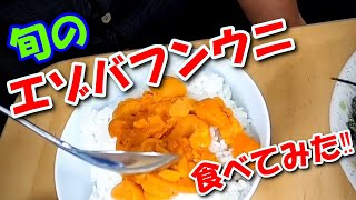 【北海道食材シリーズ】〝高級うに〟産地直送エゾバフンウニ食べてみた‼