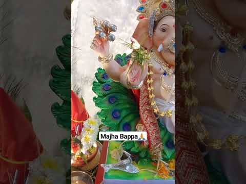 Majha Bappa🙏✨️ #viral #youtubeshorts #shortsvideo #bappa #ganpati #ganeshchaturthi #youtube