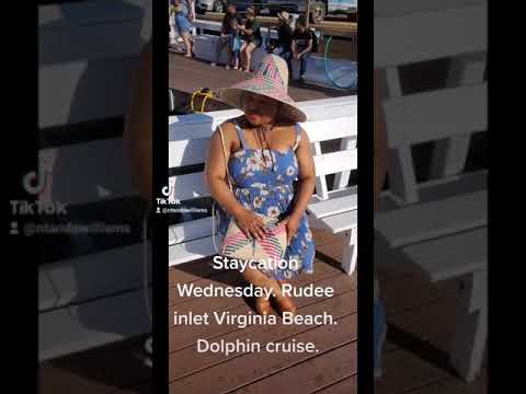 Dolphin cruse, Virginia Beach VA