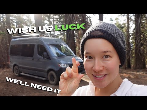 Cali Coast Campervan Babymoon Roadtrip Part 2 | Crossing 3 Creeks! Vegan Eats 🤤 Redwoods Experience