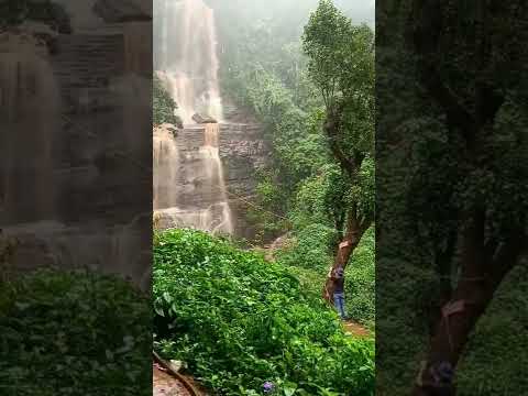 Jhari Waterfalls 📍#travelkarnataka #shorts