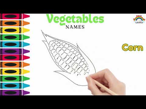 Creative Vegetable Name#5 Art | Drawing and Learning Activity for Kids"