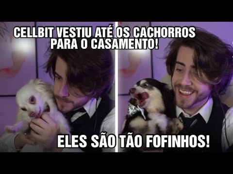 CELLBIT VESTIU ATÉ OS CACHORROS PARA O CAMENTO!