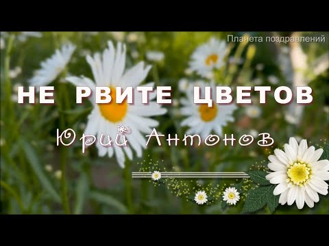 Юрий Антонов  Не рвите цветов  Песни для души