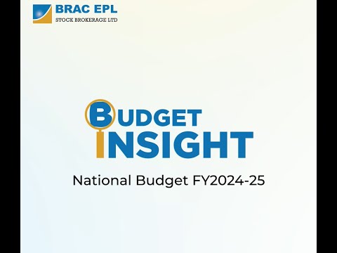 Budget Insight National Budget 2024-25.