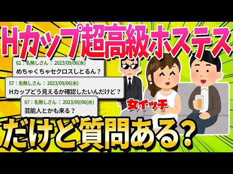 【2ch面白いスレ】子ナシ未婚で高級クラブのホステス(28)してるけど質問ある？【ゆっくり解説】