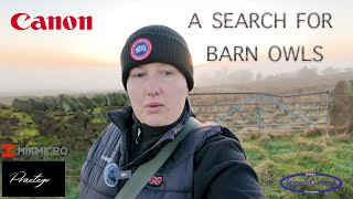 A Search For Barn Owls