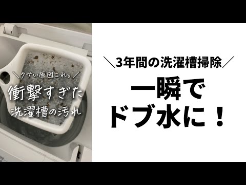 【洗濯槽】掃除したらスゴイことに！ゴッソリ汚れ落ちました！