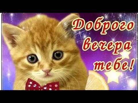 💐💝САМОЕ ЛУЧШЕЕ ПОЖЕЛАНИЕ ПРЕКРАСНОГО ВЕЧЕРА 👍👍👍😇💐