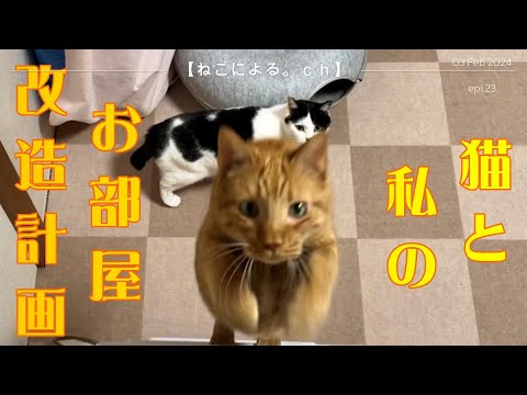 猫と私のお部屋改造計画　【ねこによる。ｃｈ】epi.23　部屋の模様替え｜ロフトベッド｜キャットタワー｜プラダン｜DIY｜元野良猫