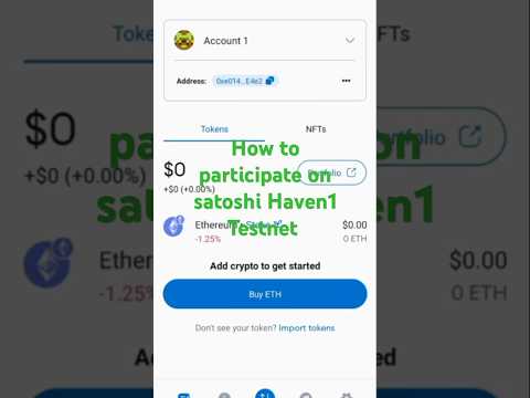 Haven1 Testnet Guide (Step by step) !How To Participate On Haven1 Satoshi Airdrop Testnet