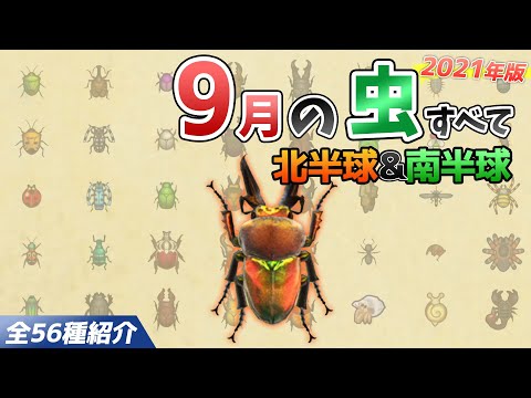 【あつ森】9月に捕れる虫を全て紹介！出現場所や時間、値段、雨など特殊条件についても徹底解説！サソリやゴライアス、ニジイロクワガタなどレア虫が大量【あつまれどうぶつの森　9月の虫図鑑コンプリート】