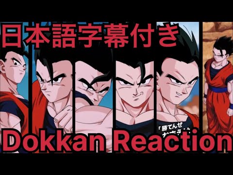 ドッカンバトル LR アルティメット悟飯 リアクション Dokkan LR Ultimate Gohan Reaction 海外の反応