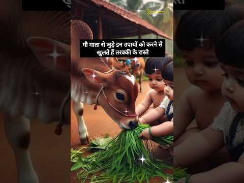 गौ माता से जुड़े इन उपायों को करने से खुलते हैं तरक्की  के रास्ते #cow #astrology#astrology #gaumata