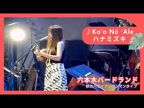 【Kaʻa Nā ʻAle〜ハナミズキ】六本木バードランド ハワイアンライブ (Cover) 一青窈 Kuana Torres Kahele カーナーレ