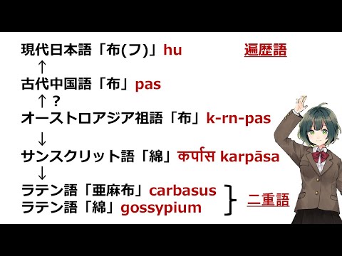 【言語学解説】「布」の音読みとオーストロアジア語族による遍歴語 #にじボイス