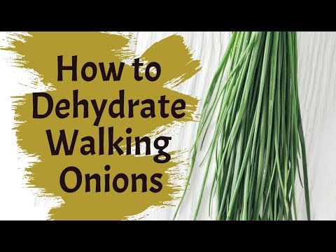 How to Dehydrate Green Onions