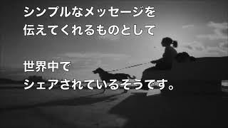 母から離れようとしない犬　最後まで見届けてくれたんだね…