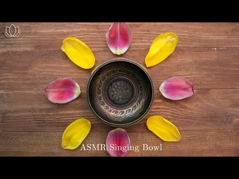 ♫ 乾淨無廣告 ♫ 60分鐘 ASMR 純西藏缽音. 冥想. 平靜你的心 ~ ASMR Tibetan Singing Bowls Healing Sounds