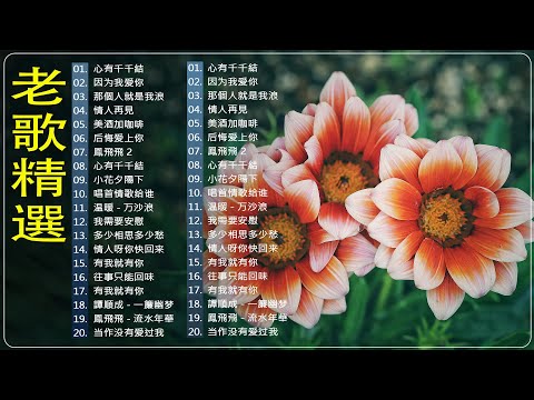 🍀【老歌精選】國語懷念老歌精選 ⭐ 群星里一人一首成名曲 [鄧麗君, 尤雅, 杨小萍, 青山, 凤飞飞, 谭顺成,  劉家昌, 万沙浪, 姚乙, 陳芬蘭,  陳芬蘭, 姚蘇蓉 ] #1