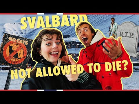 Weird facts about Svalbard | Visit Norway