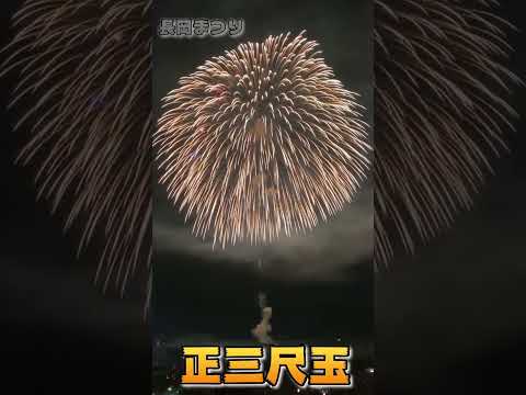 長岡まつり。やっぱりすごい！！正三尺玉！！新潟県長岡市 #shorts #花火大会 #fireworks