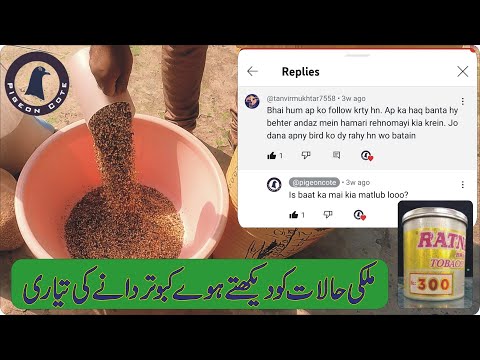 How to Make Pigeon Feed in an Economical Budget | New Feed Recipe For Pigeon | Pigeon Cote