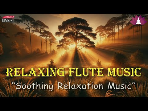 Relaxing Flute Music (बाँसुरी) : Morning Meditation Music, Flute Music, Soothing & Calm Music