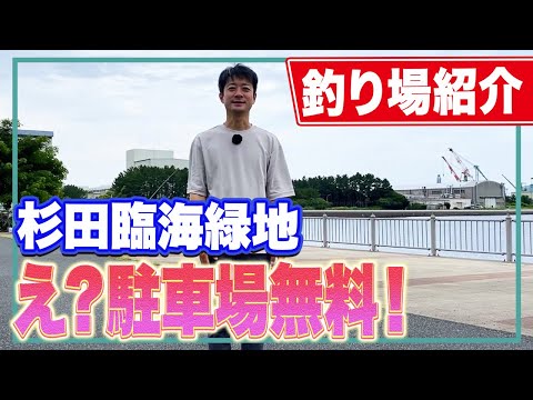 【杉田臨海緑地】横浜では珍しい駐車場無料の釣り場でアジを狙おう！