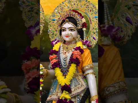 राधे राधे जय श्री कृष्णा