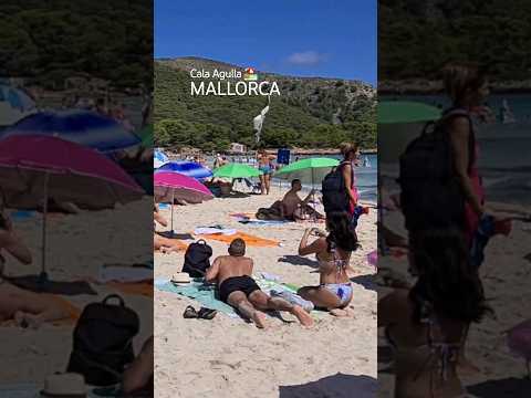 Mallorca 🌴 Cala Ratjada ⛱️  Cala Agulla 🏖