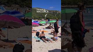 Mallorca 🌴 Cala Ratjada ⛱️  Cala Agulla 🏖