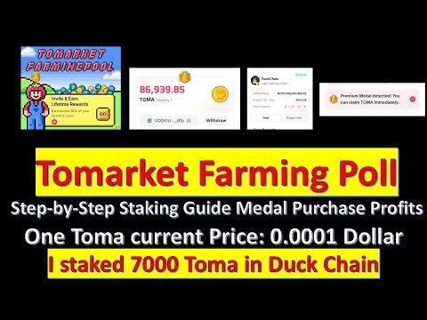 Tomarket Farming Pool: Step-by-Step Staking Guide, Medal Purchase Profits, 1 Lakh Toma Coin Value