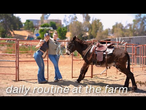 Spending a day on the farm 5AM-6:00PM with my siblings | restocking hay, cleaning stalls, riding