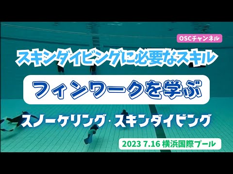 スノーケリング（シュノーケリング）・スキンダイビングに必要なスキル・フィンワークを学ぶ！OSCスキンダイビング講習会（基礎編・応用実践編）の練習風景 in 神奈川・横浜国際プール