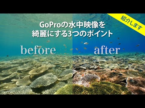 GoProの水中映像を綺麗に色補正する方法｜Color Correction and Color Grading for Underwater Footages with GoPro