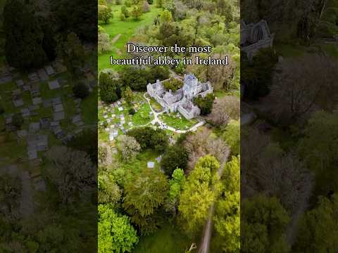 You Have To Visit Muckross Abbey in Ireland! #wildatlanticway