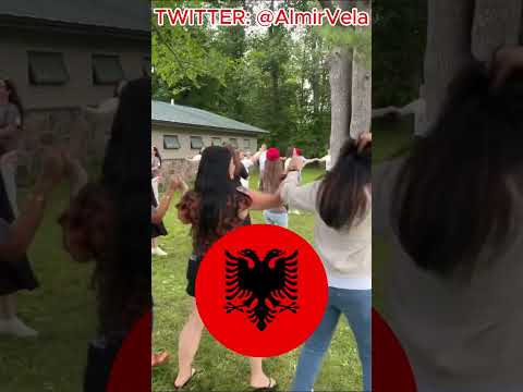 ALBANIAN PICNIC AT FDR STATE PARK, NEW YORK 🇦🇱 #shorts #albania #picnic #culture #music