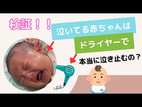 【検証！】あかちゃんってドライヤーで泣き止むの？！泣いてるあかちゃんにドライヤー聞かせて検証した結果【都市伝説？】