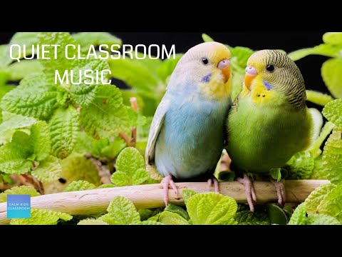 Morning Music For Class - Budgies -  quiet, relaxing & calming instrumental music for children