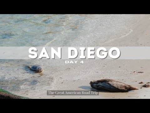 The Great American Road Trip | Day 4 San Diego