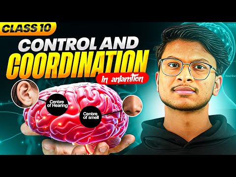 Control & Coordination🔥1 shot animation- Class 10 Science chapter 6🔥