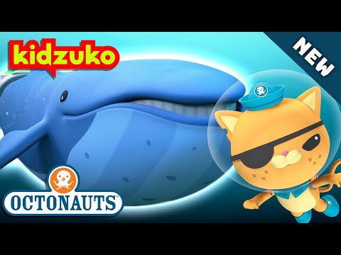 @Octonauts - 🐋 THE BLUE WHALE RESCUE 🛟 | BRAND NEW | Season 5 | Full Episode 1 | @Kidzuko Exclusive!