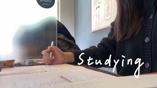 和我一起讀書吧📖 study with me + small vlog (?)