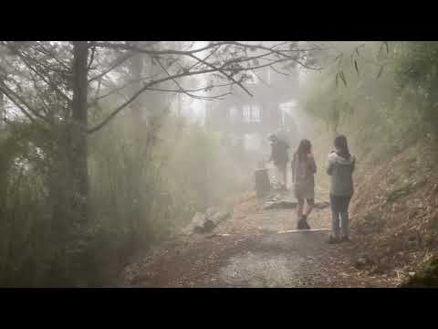 台灣大雪山森林遊樂區的埡口觀景台(海拔2600公尺) Yakou Viewing Platform (2600 meters) in Dasyueshan Forest Recreation Area