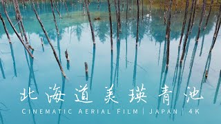 【4K空拍】北海道美瑛青池｜美瑛白金青い池｜日本絕景｜4K Cinematic Drone Footage@Japan