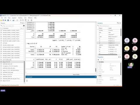 Hausman Test OLS, FE, RE Comparison (101.dta)