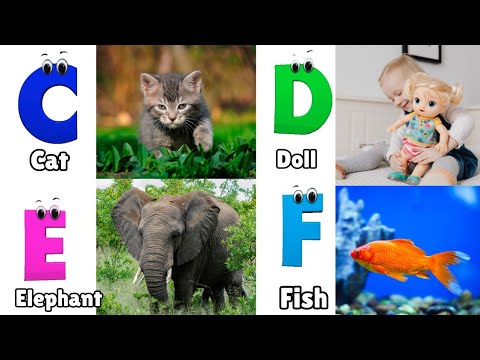 Phonics Song for Kids | Phonics for Kids | Learn English ABC | Alphabet Letters